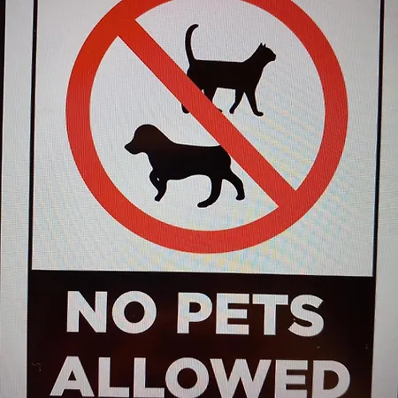 R&n Studio-green Garden