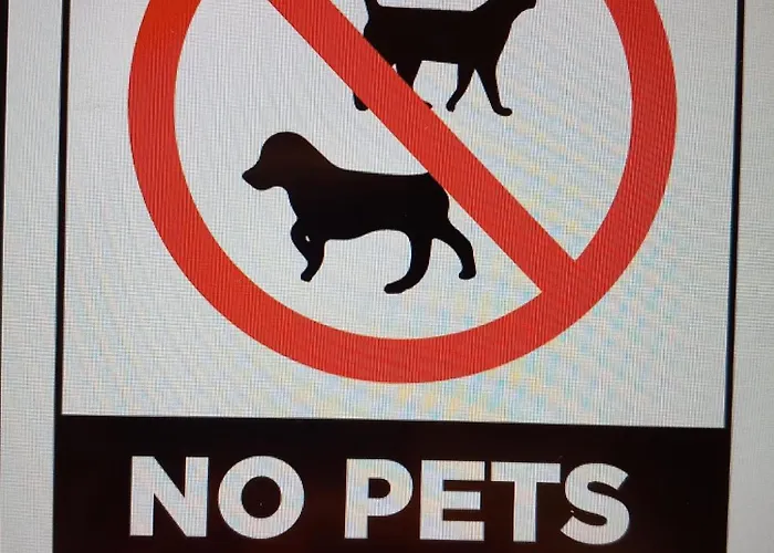 R&n Studio-green Garden